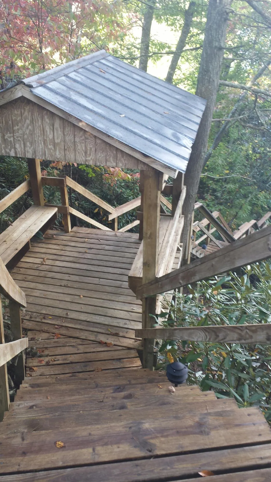 Metal roofed shelter over wooden steps on a wooded walkway — Skylight Repair & Installation work by our crew in Mc Clellanville